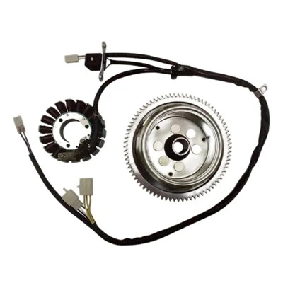 157 18-polu 160 W Magneto Stators