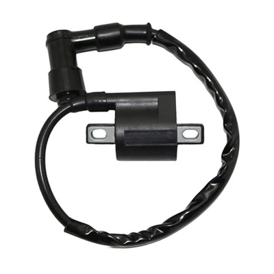 Induktīvās aizdedzes spole GS125